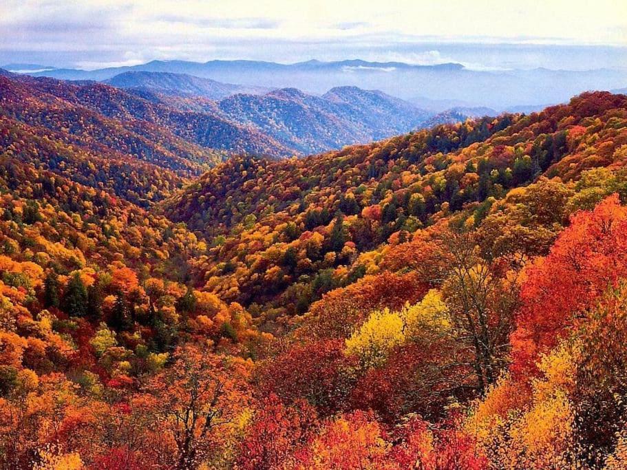 Bourbon Hollow Lodge With Hot Tub And Pool Plus Game Room Only 5 Min To Downtown Gatlinburg Esterno foto